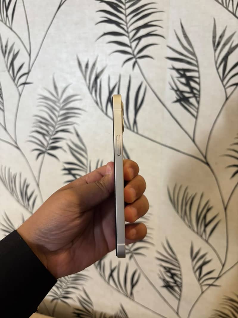 Apple iPhone 12 3