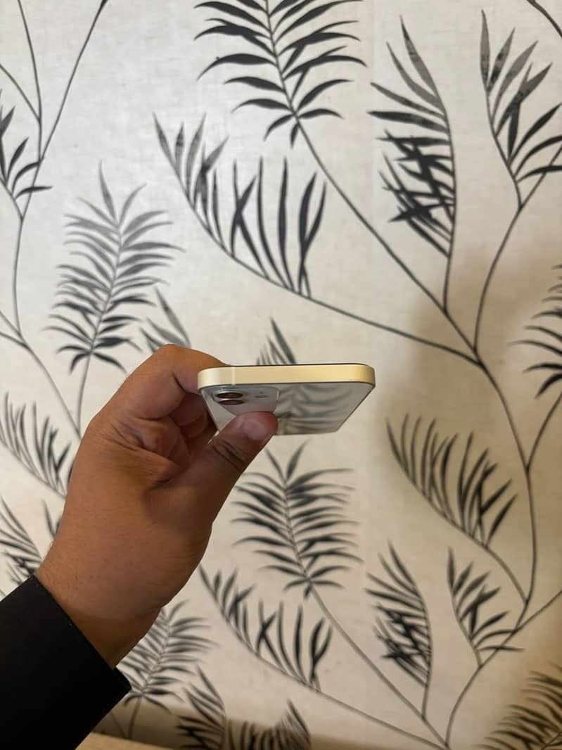 Apple iPhone 12 4