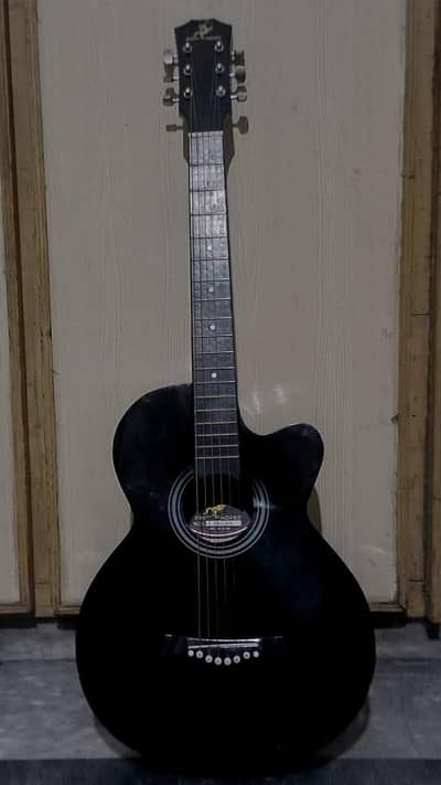 Acoustic guitar swift horse