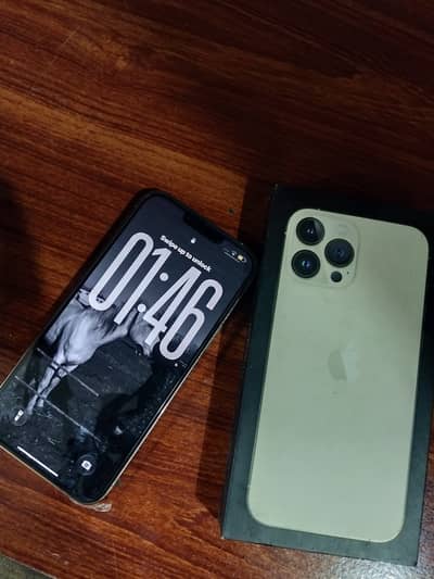 Apple iPhone 13 Pro Max