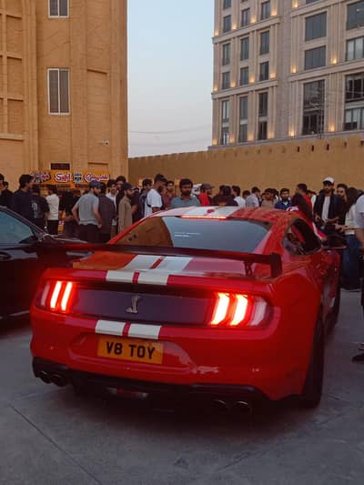 mustang