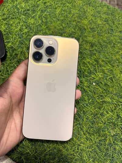 Apple iPhone 13 Pro luxury gold