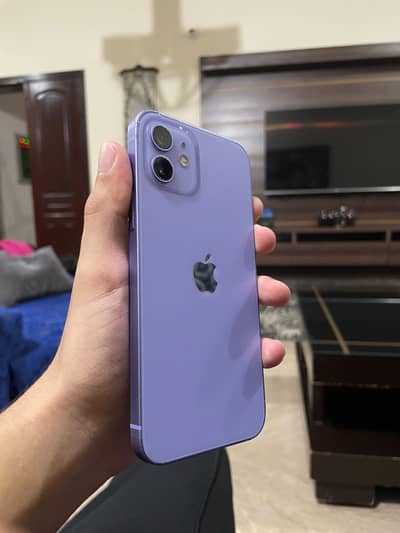 Apple iPhone 12