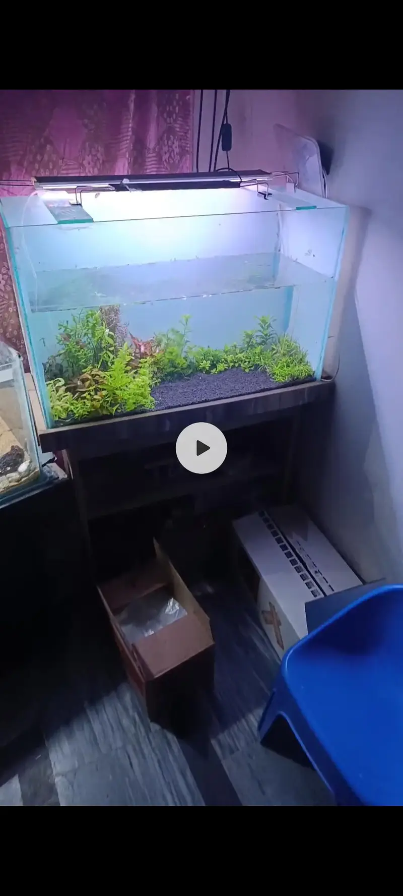 2.5 feet Aquariam with table — photo 2