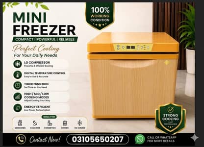 Mini Freezer