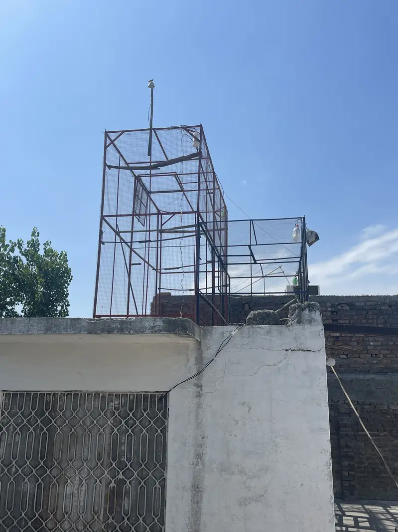 Piegon cage — photo 2