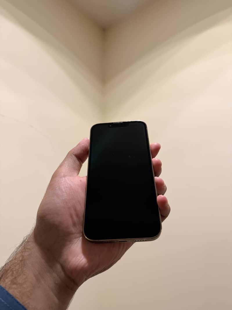 Apple iPhone 13 Pro 1