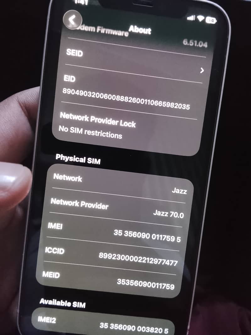 Apple iPhone 12 1