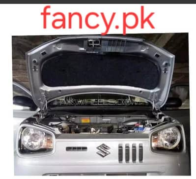 Alto 660cc bonut namda