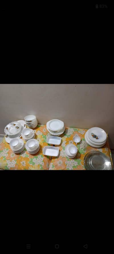 Arcopal Dinner Set