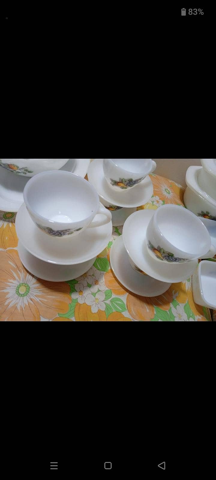Arcopal Dinner Set 2
