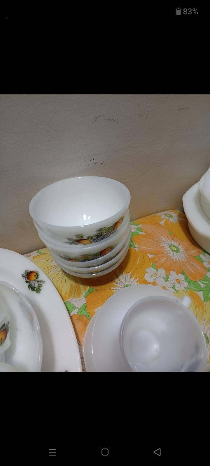 Arcopal Dinner Set 3