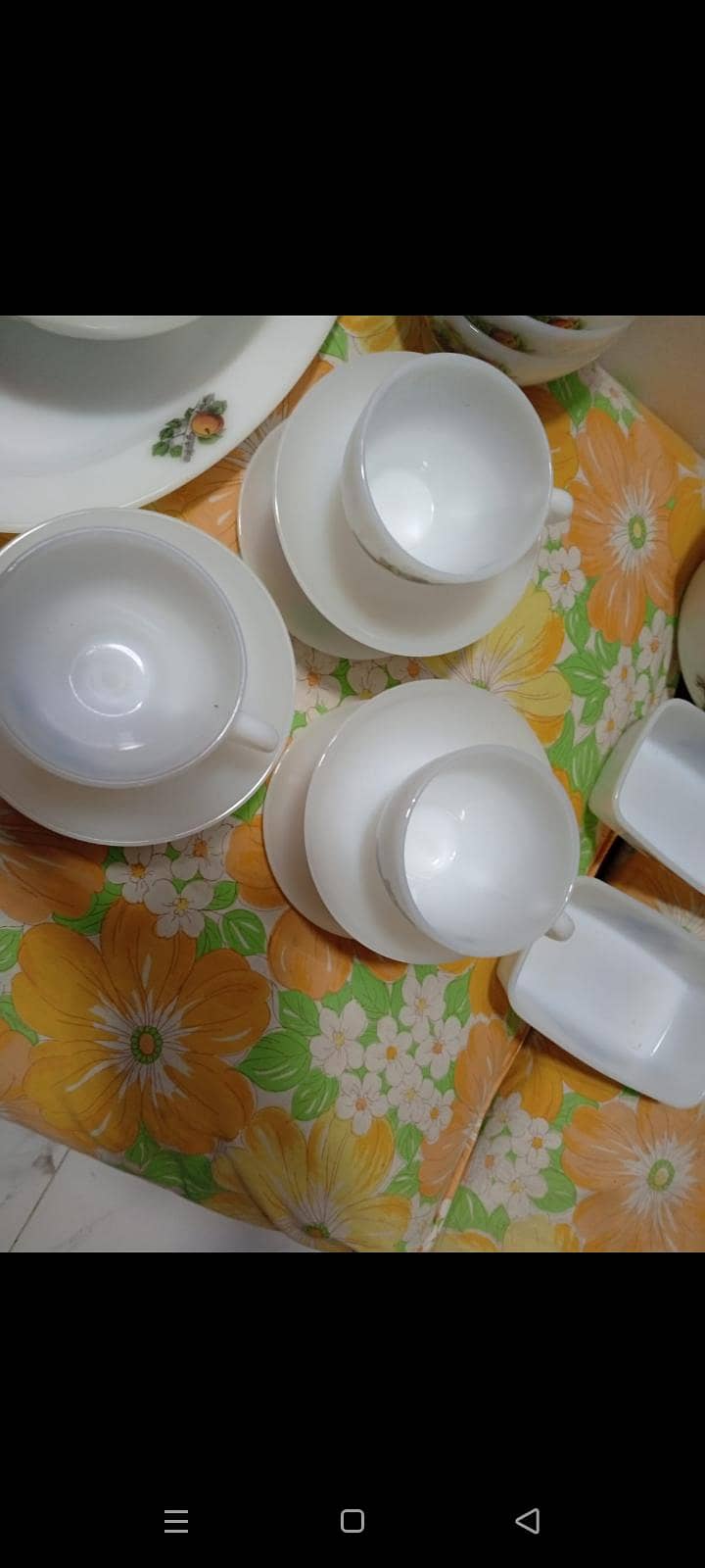 Arcopal Dinner Set 5