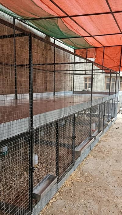 hens cage doubble floor