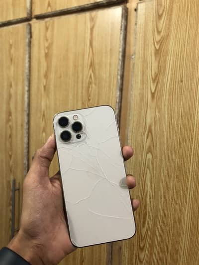 Apple iPhone 12 Pro Max