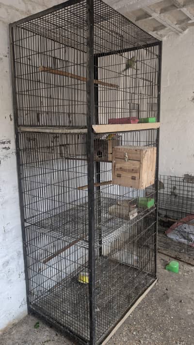 Raw cage for sale wite 10no