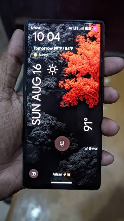 google pixel 6 pa**
