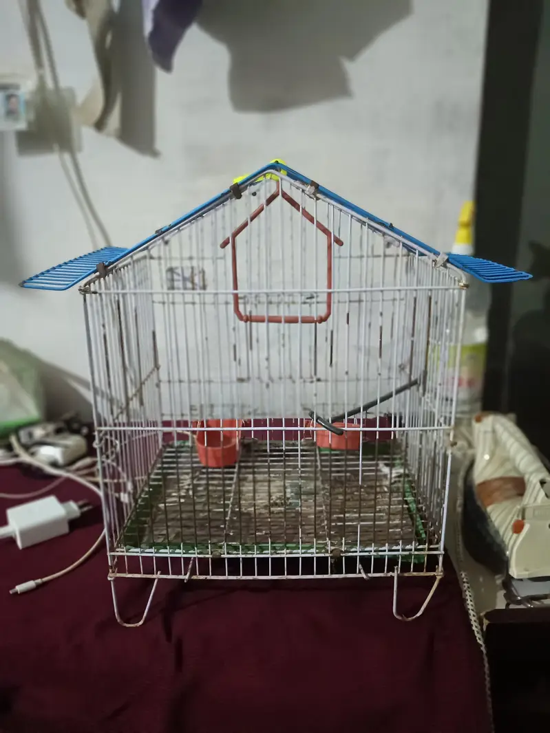Small Parrots Cage | Hanging Cage