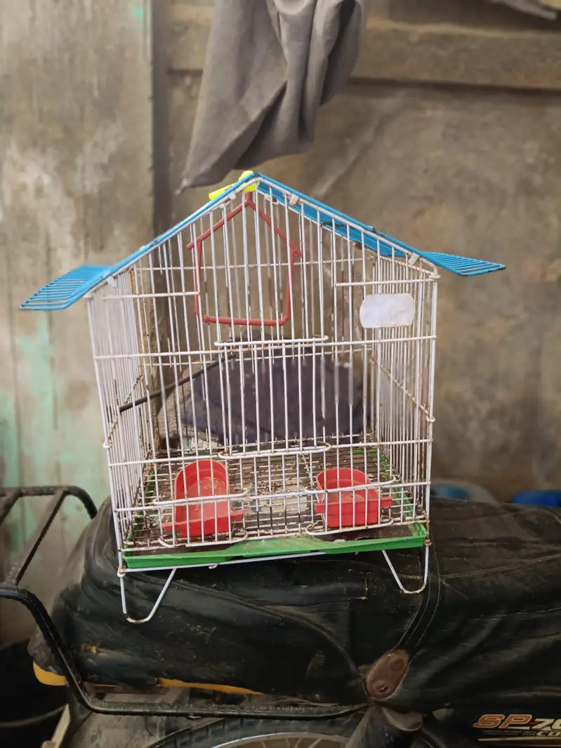 Small Parrots Cage | Hanging Cage — photo 3