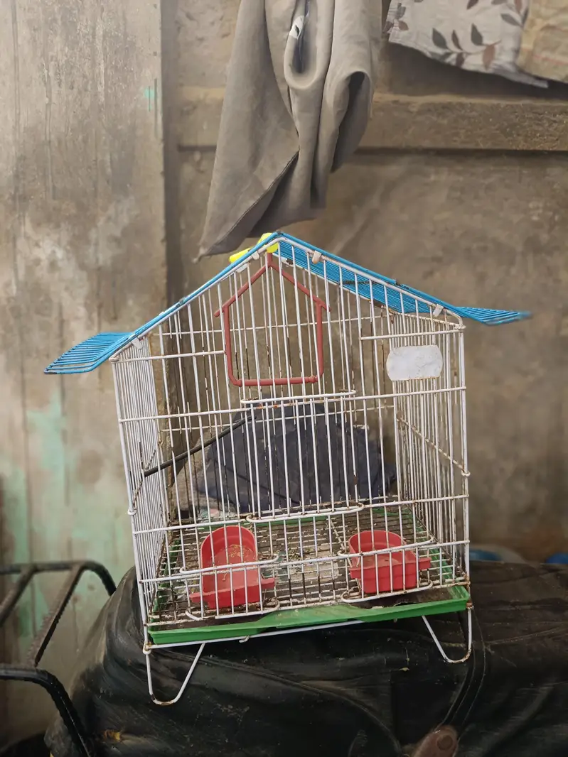 Small Parrots Cage | Hanging Cage — photo 4