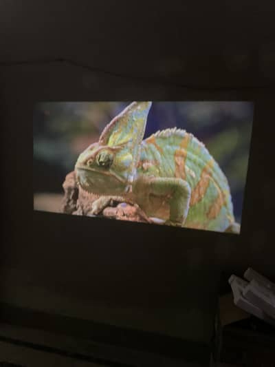 Miroir projector reachable pack guaranteed everything
