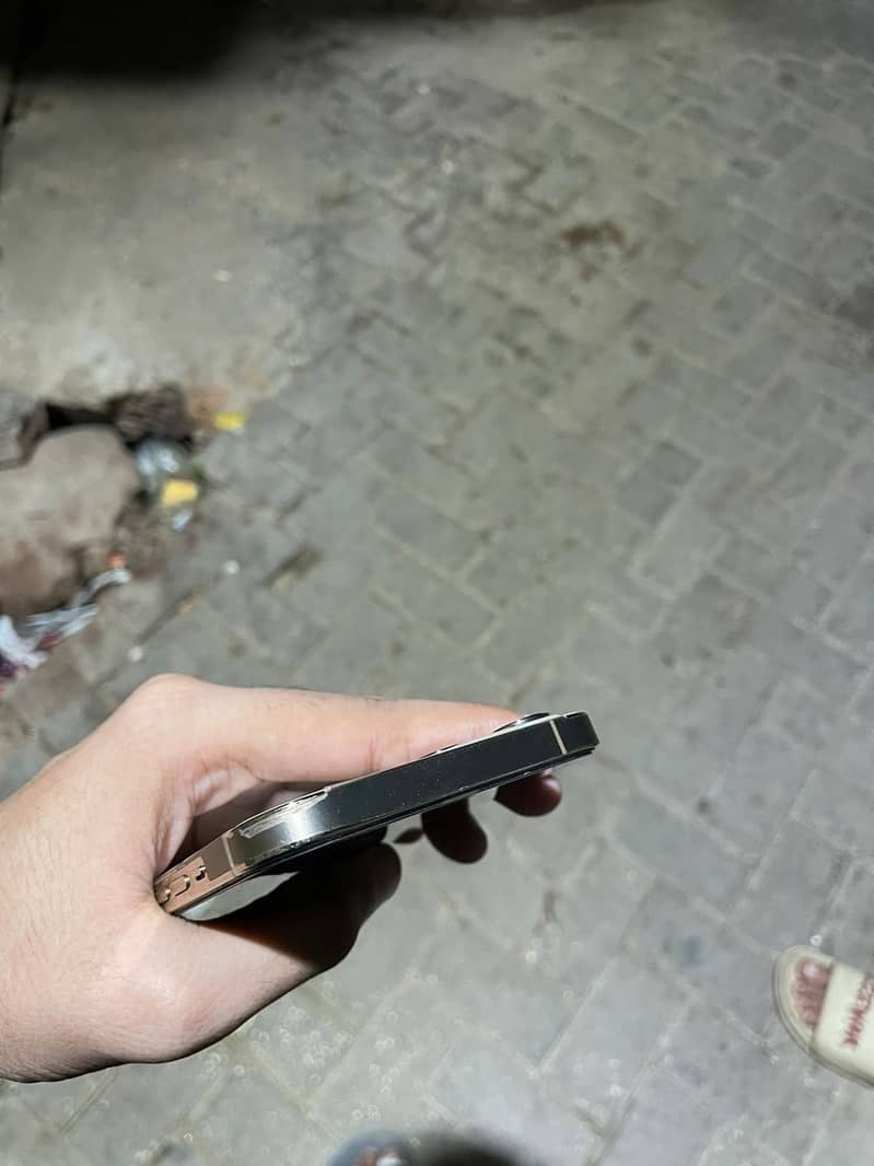 Apple iPhone 12 Pro Max 1