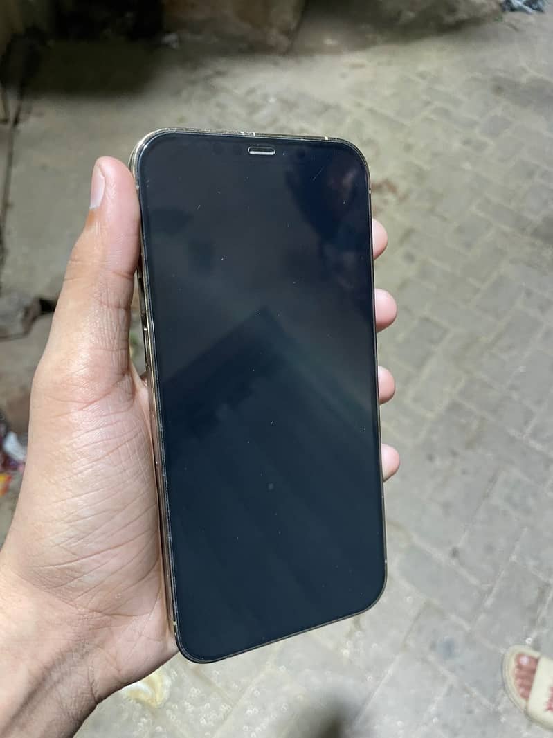 Apple iPhone 12 Pro Max 2