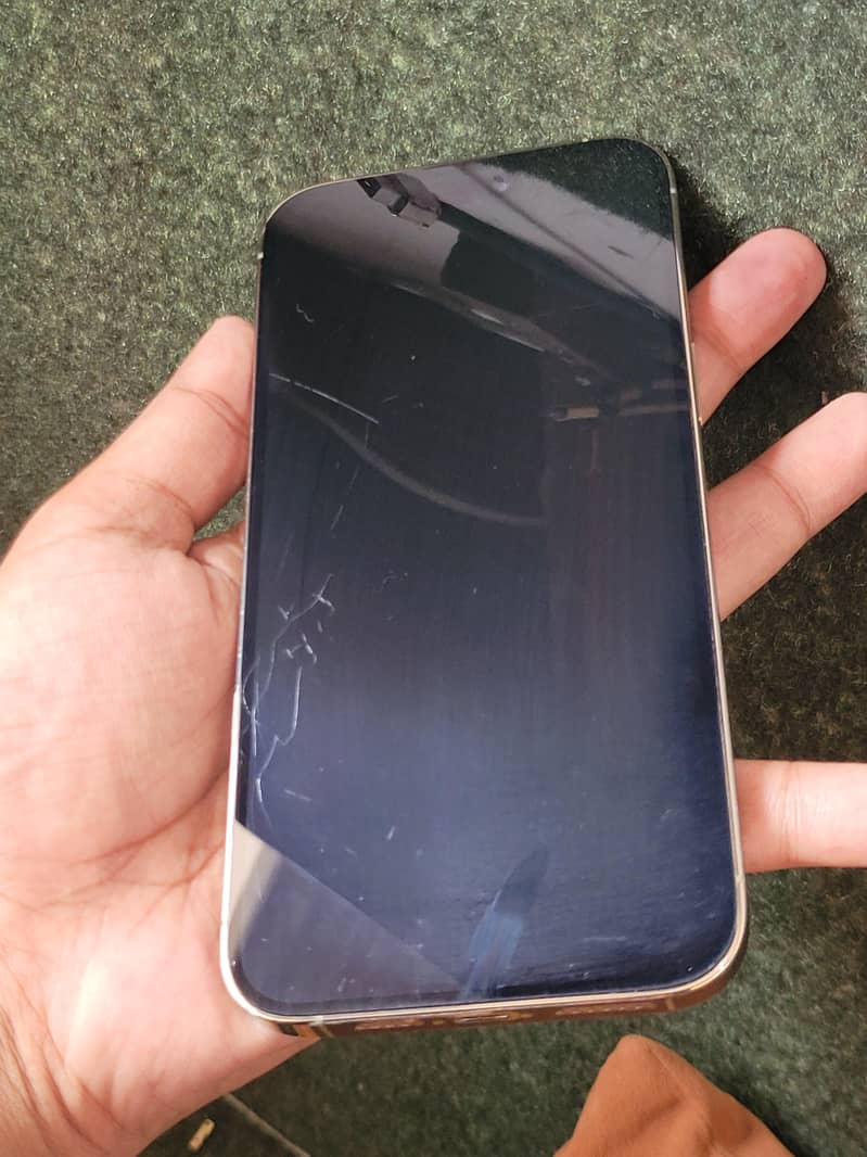 Apple iPhone 14 Pro Max 1