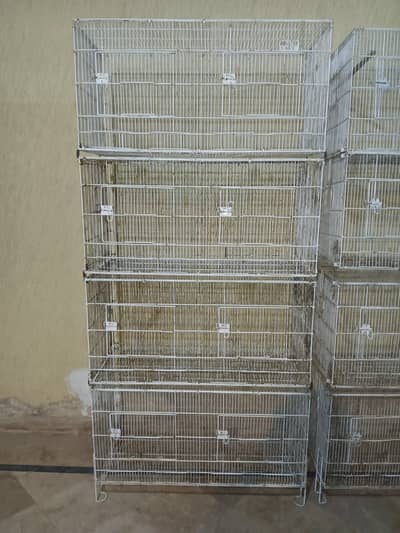 Master Cage