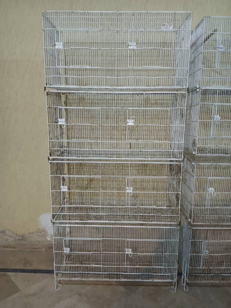 Master Cage 0