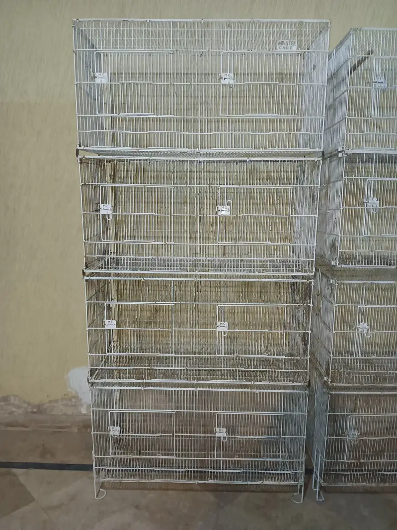 Master Cage