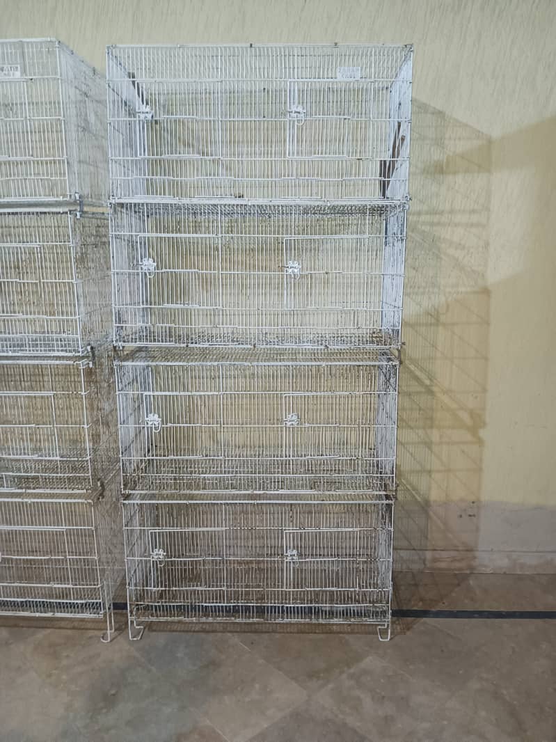 Master Cage 1