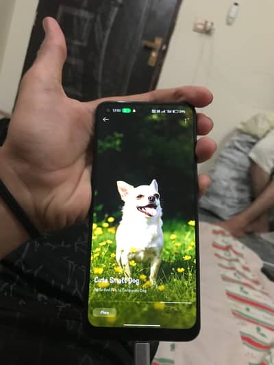 OPPO f19 Pro exchange possible