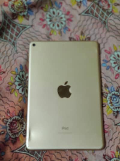 ipad mini 5