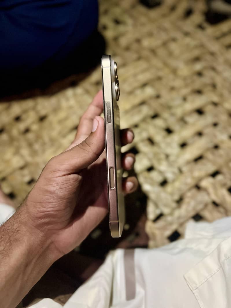 Apple iPhone 16 Pro Max 1