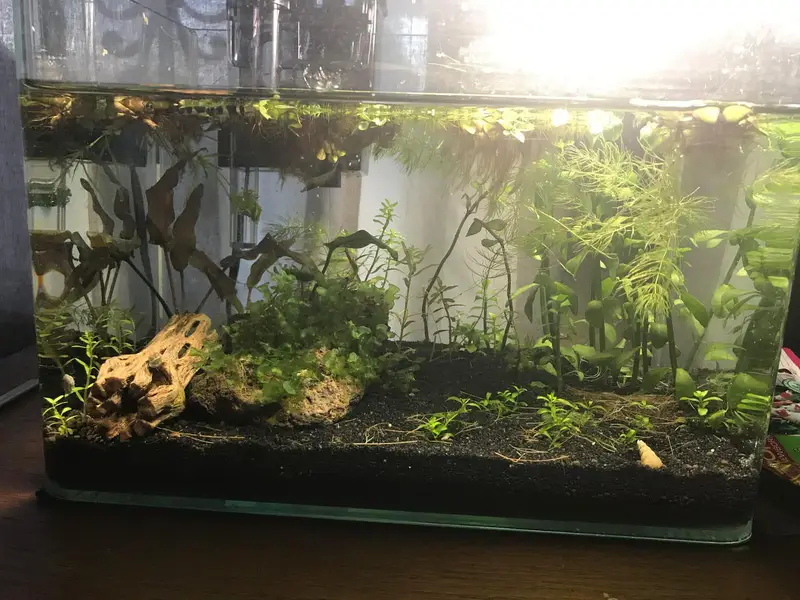 Fish aquarium Big discount offer 03268301979 — photo 4