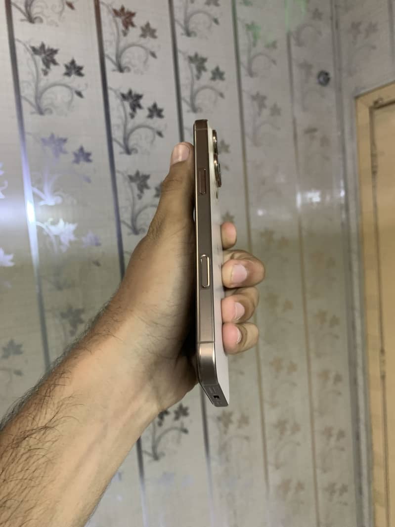 Apple iPhone 16 Pro Max 1