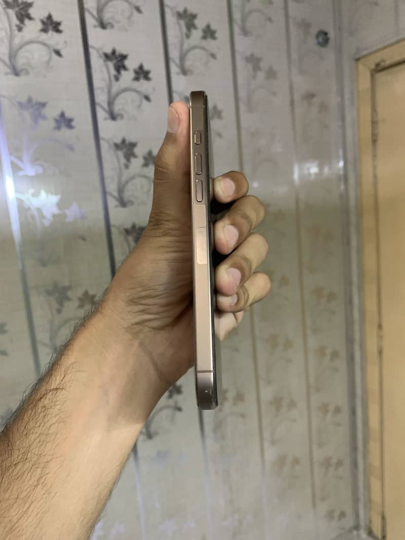 Apple iPhone 16 Pro Max 2
