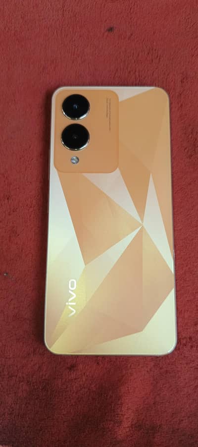 Vivo Y17s 4 4 128