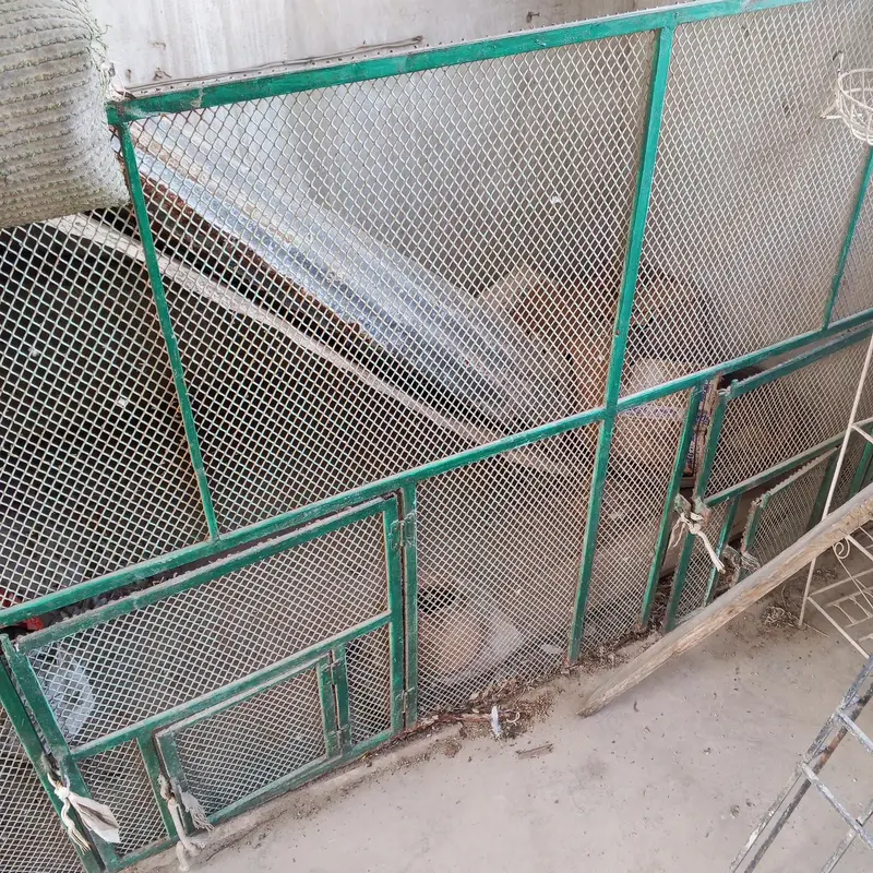 steel ka frame pinjra — photo 2