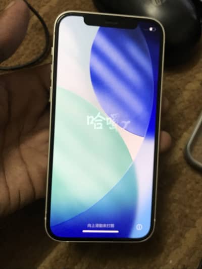 Apple iPhone 12