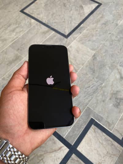 Apple iPhone 13 Pro