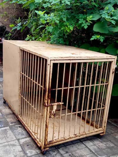 Heavy metal cage for Dogs/ hens/ cats/ and other animals