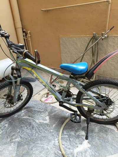 20' bicycle Made Aluminum with gair and Desk break