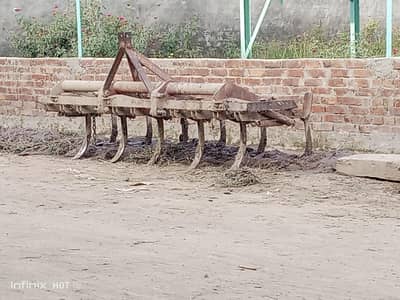 11 phala hul