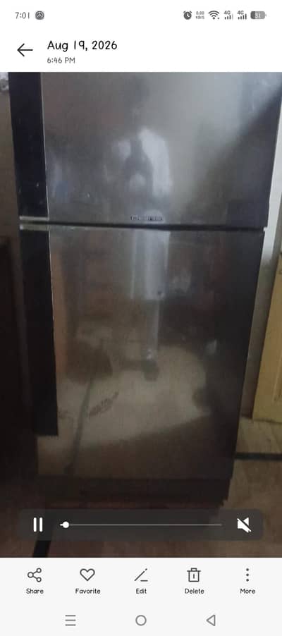 pel desire refrigerator
