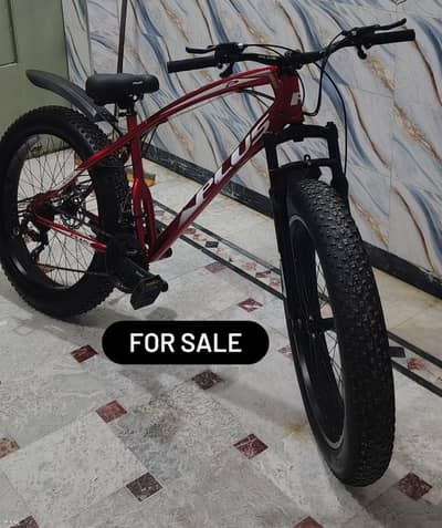 fat Tyre