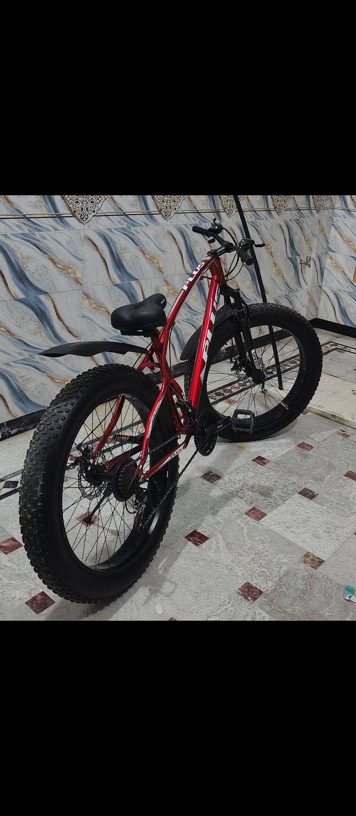 fat Tyre 1