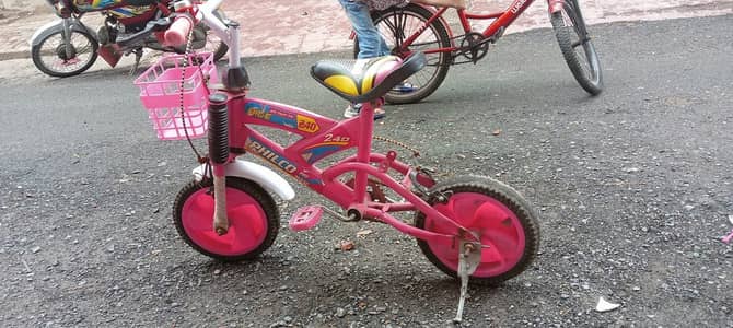 Bicycle for sale