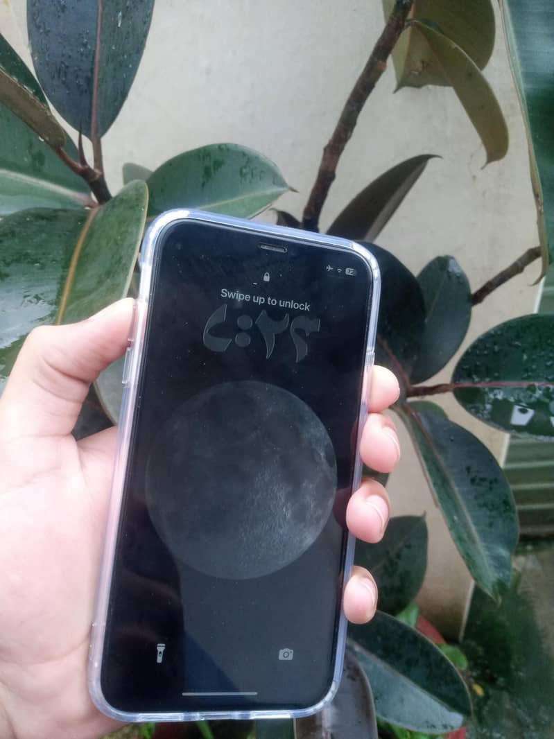 Apple iPhone 11 0